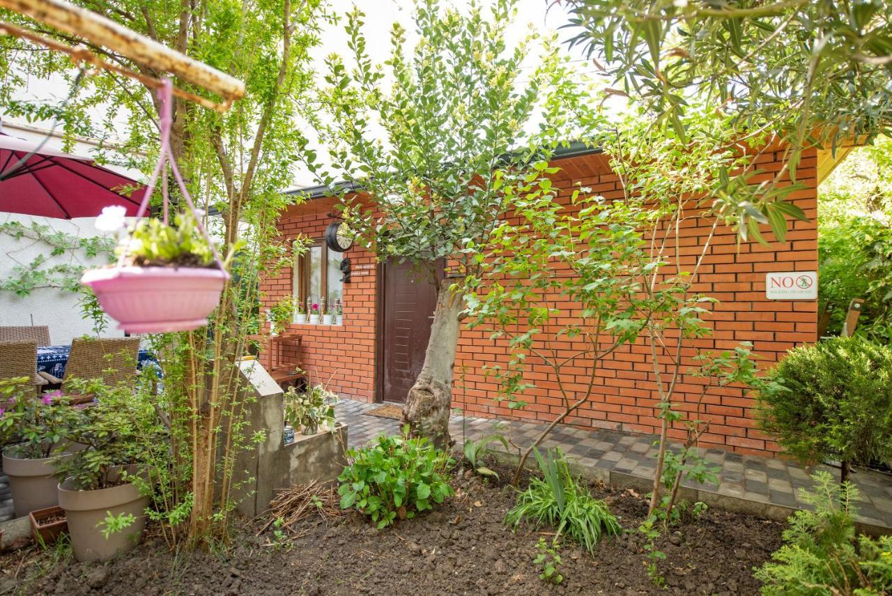 ティビリシ Garden Houseヴィラ エクステリア 写真